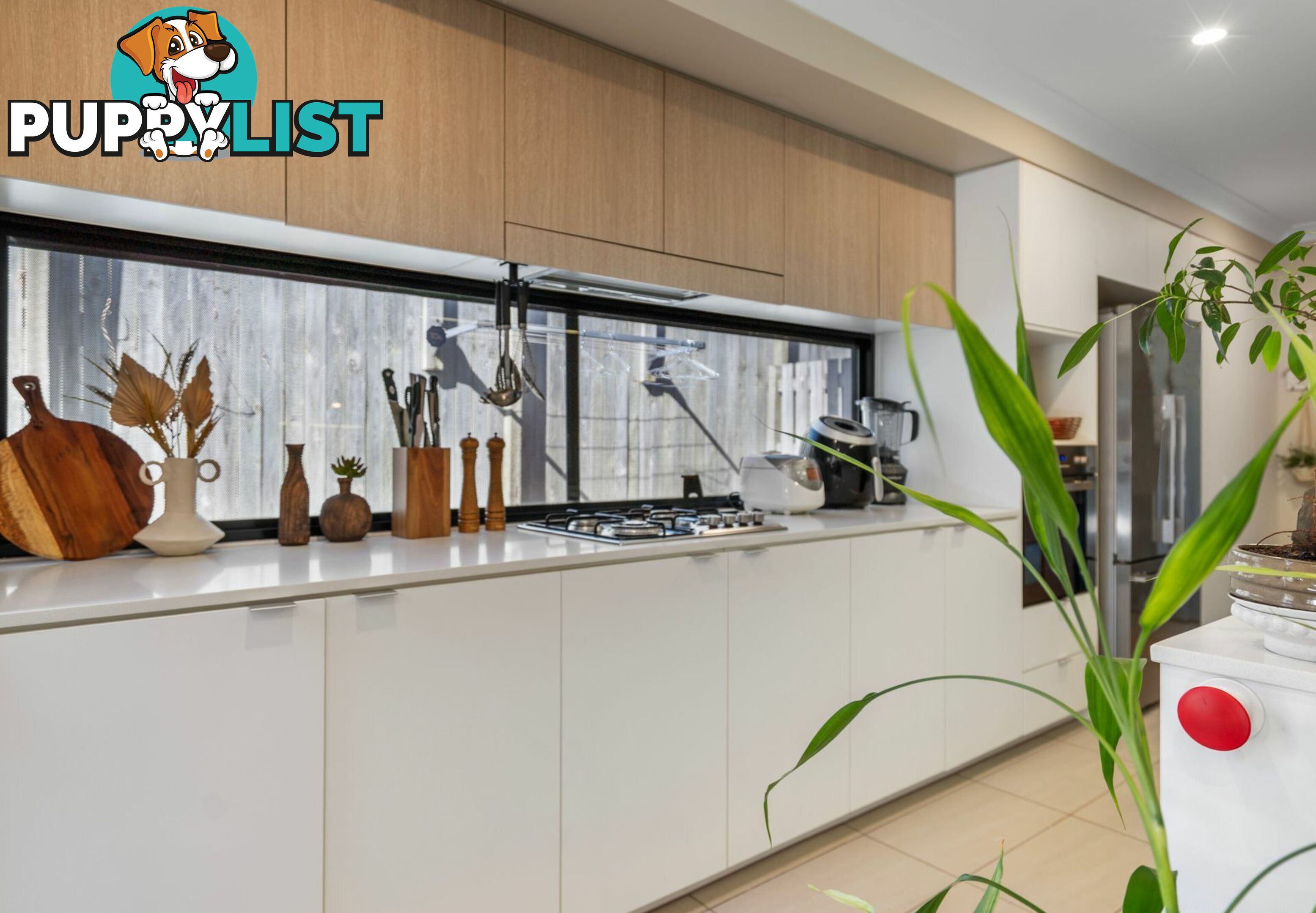 11/6 Deacon Street COOPERS PLAINS QLD 4108
