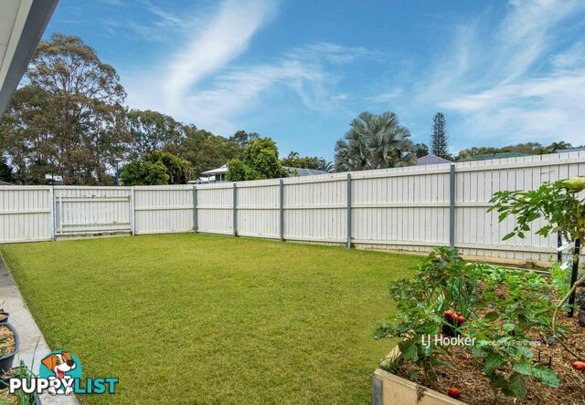 43 Ibis Circuit FOREST LAKE QLD 4078