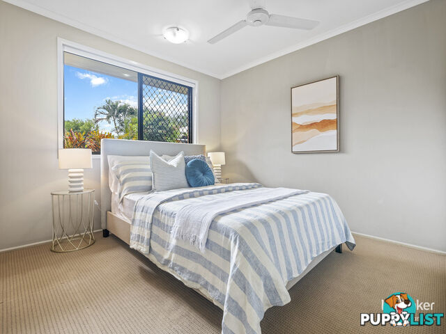 289 Warrigal Road EIGHT MILE PLAINS QLD 4113