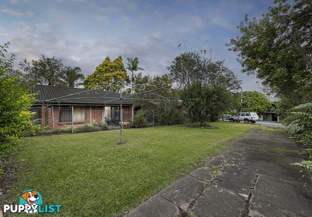 31 Mackie Street East MOOROOKA QLD 4105