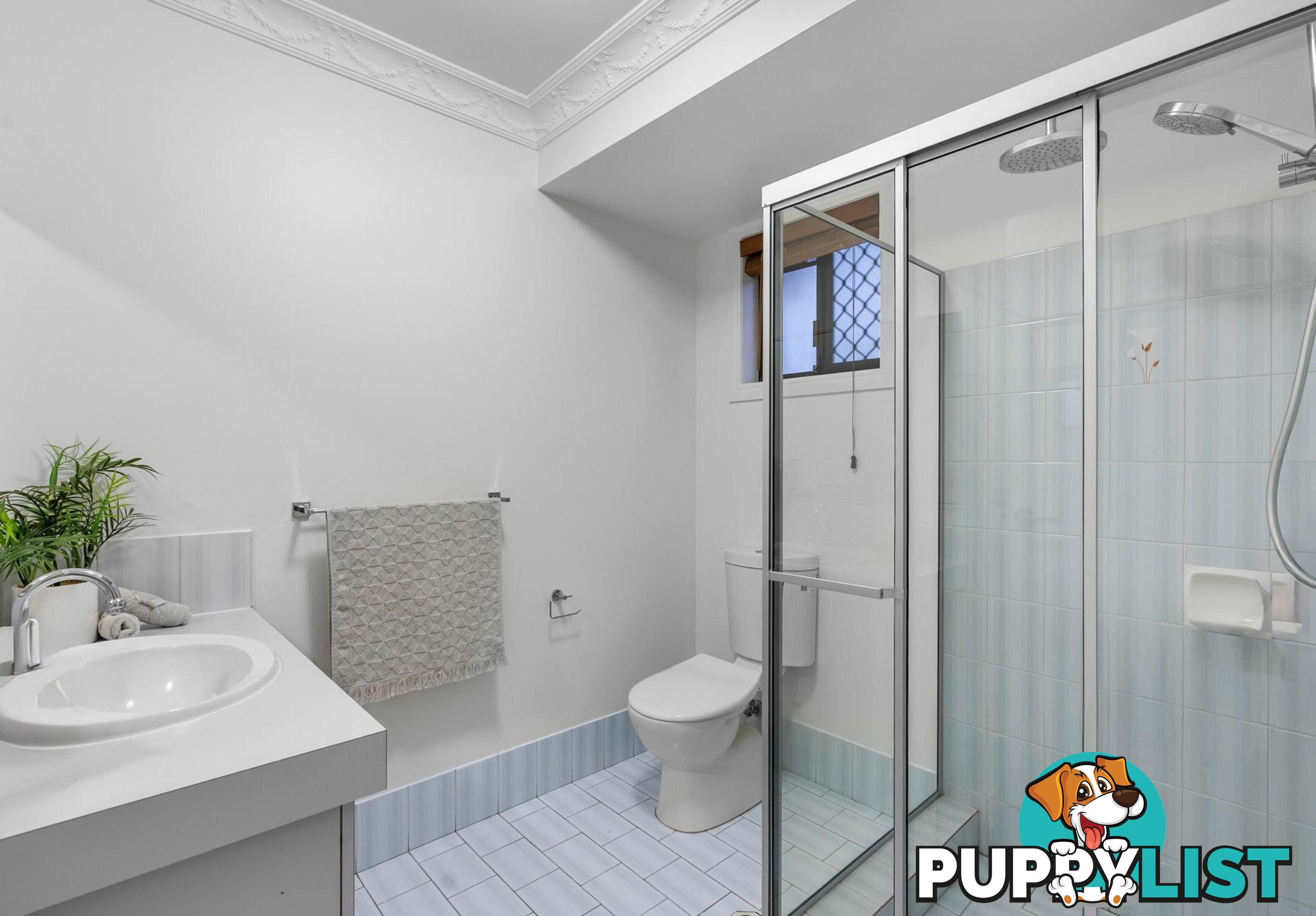 14 Noelana Street SUNNYBANK HILLS QLD 4109
