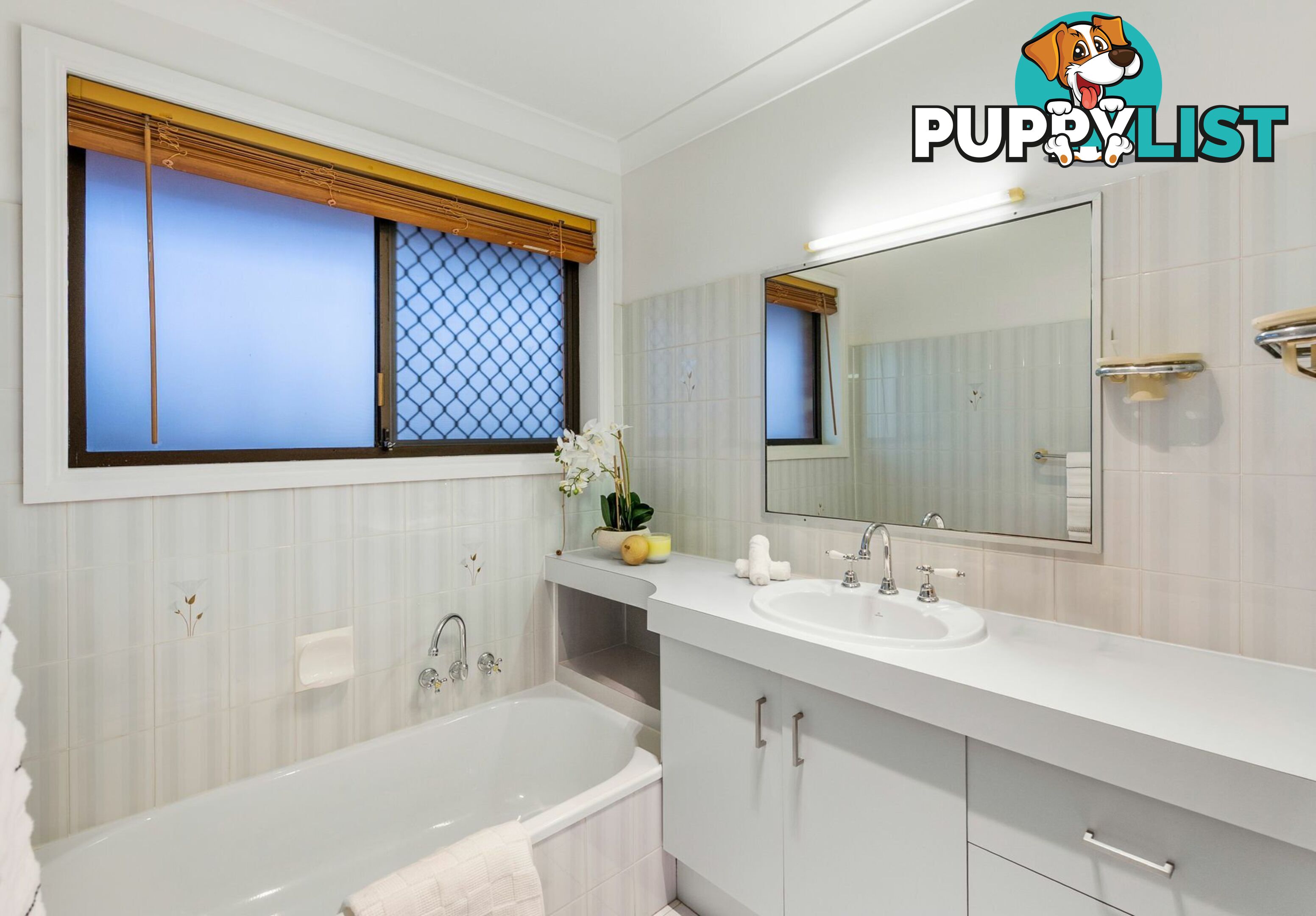 14 Noelana Street SUNNYBANK HILLS QLD 4109
