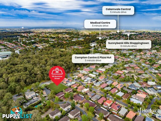 119 Gumtree Street RUNCORN QLD 4113