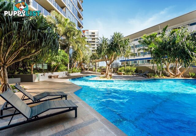11106/1 Cordelia Street SOUTH BRISBANE QLD 4101