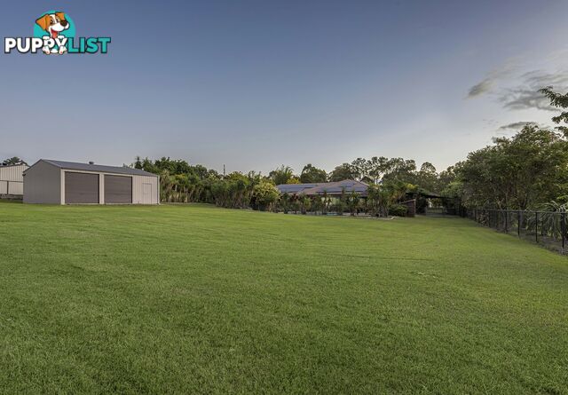 9 Victor Street BORONIA HEIGHTS QLD 4124