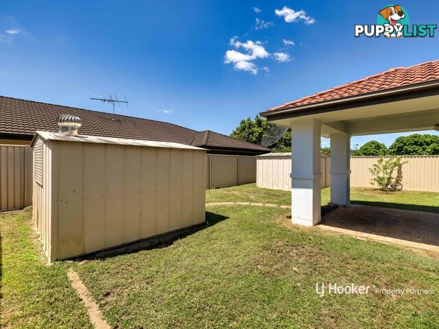 3 Mylonas Court SUNNYBANK HILLS QLD 4109