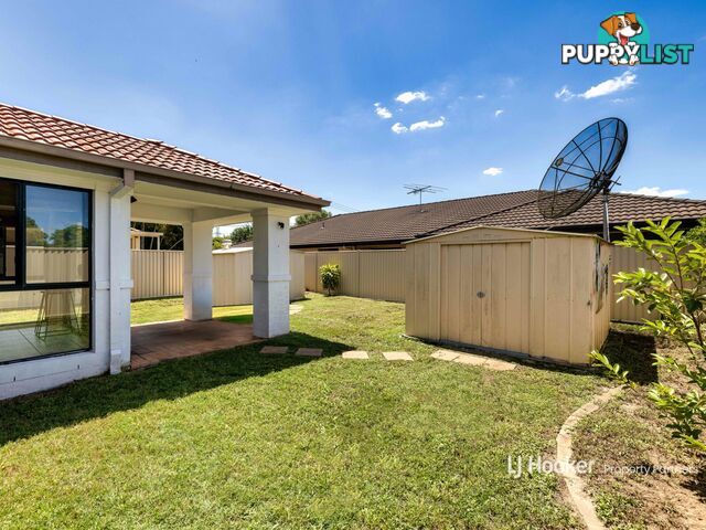 3 Mylonas Court SUNNYBANK HILLS QLD 4109