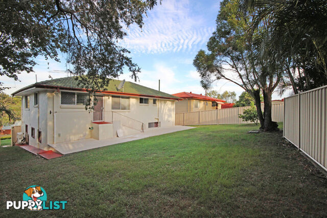 17 Pattie Street SUNNYBANK HILLS QLD 4109