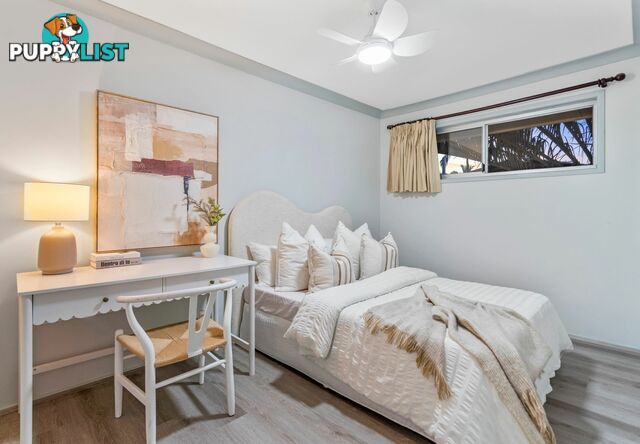 19 Jacqueline Avenue SPRINGWOOD QLD 4127