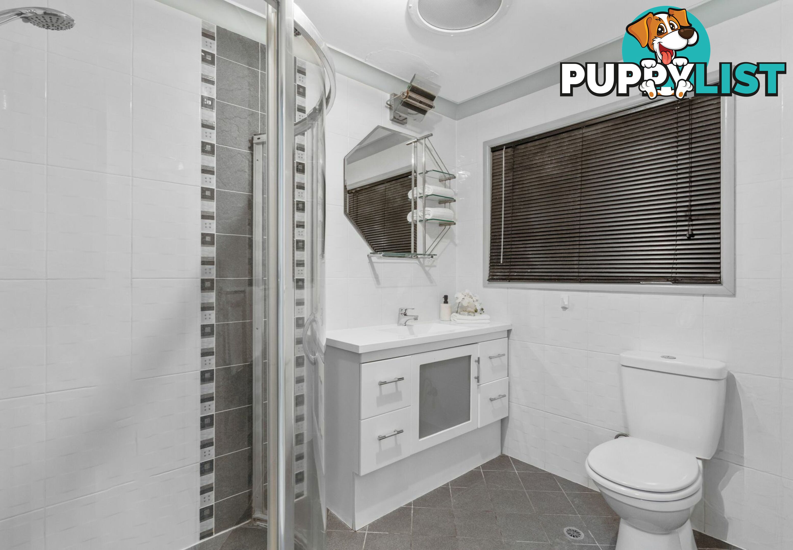 19 Jacqueline Avenue SPRINGWOOD QLD 4127