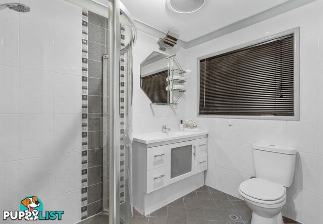 19 Jacqueline Avenue SPRINGWOOD QLD 4127