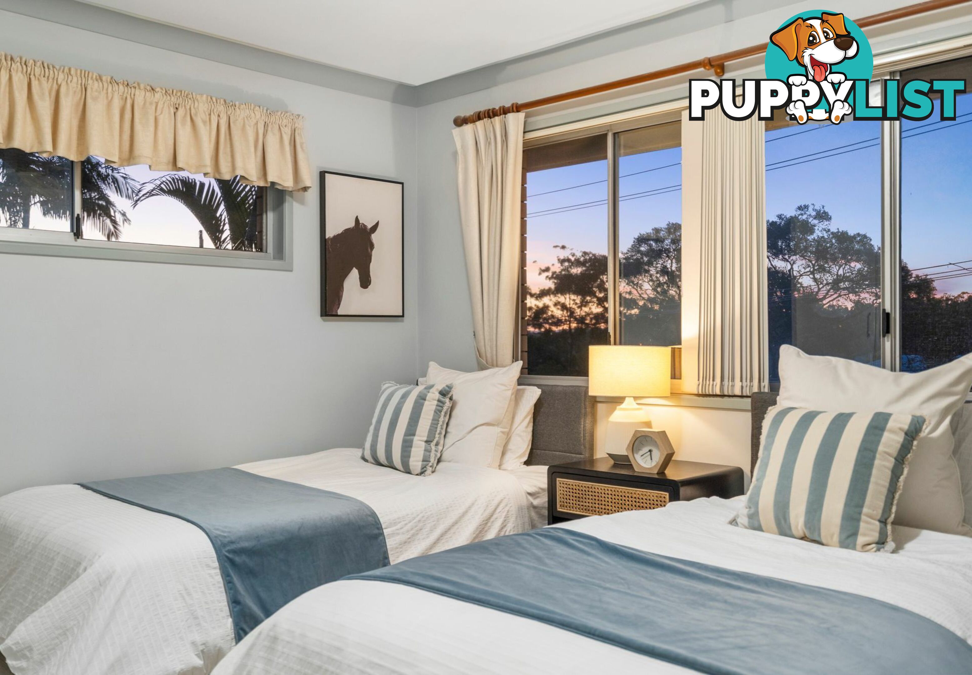 19 Jacqueline Avenue SPRINGWOOD QLD 4127