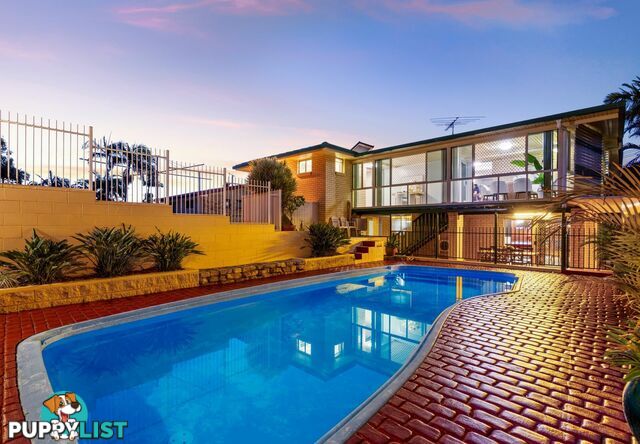 19 Jacqueline Avenue SPRINGWOOD QLD 4127