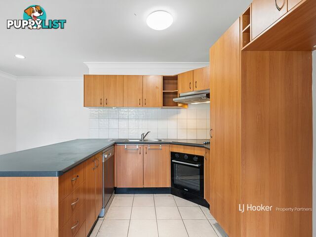 66 Newman Street CAMIRA QLD 4300