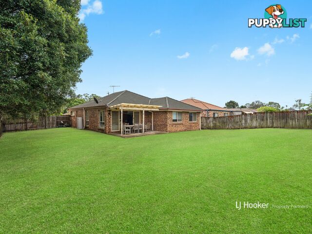 66 Newman Street CAMIRA QLD 4300