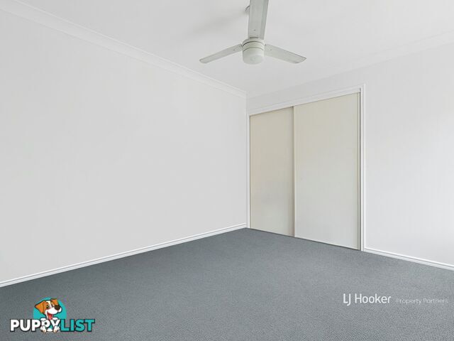 66 Newman Street CAMIRA QLD 4300