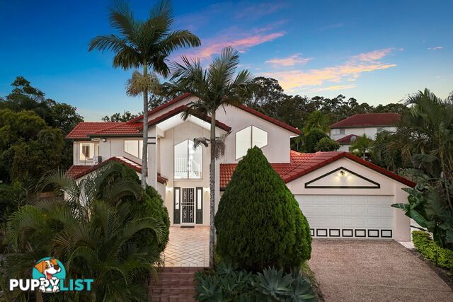 16 Totten Close EIGHT MILE PLAINS QLD 4113