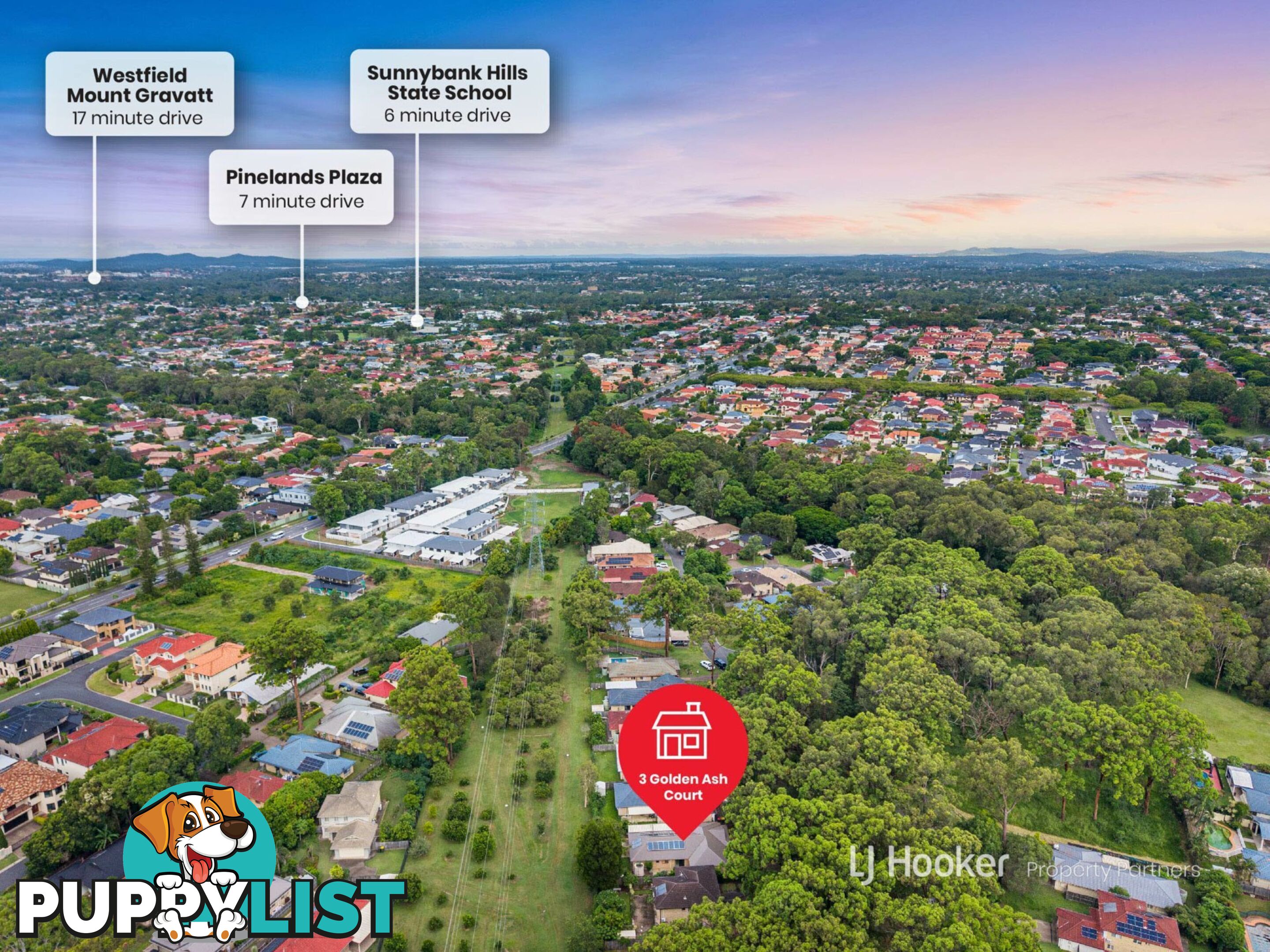 3 Golden Ash Court SUNNYBANK HILLS QLD 4109