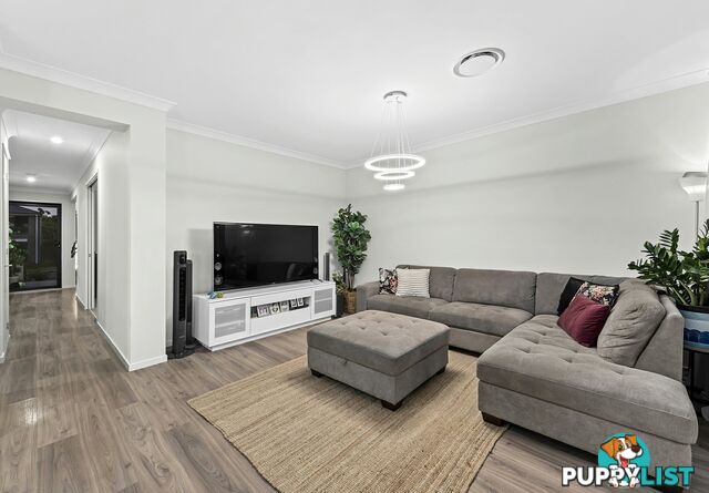 16 William Close PARK RIDGE QLD 4125