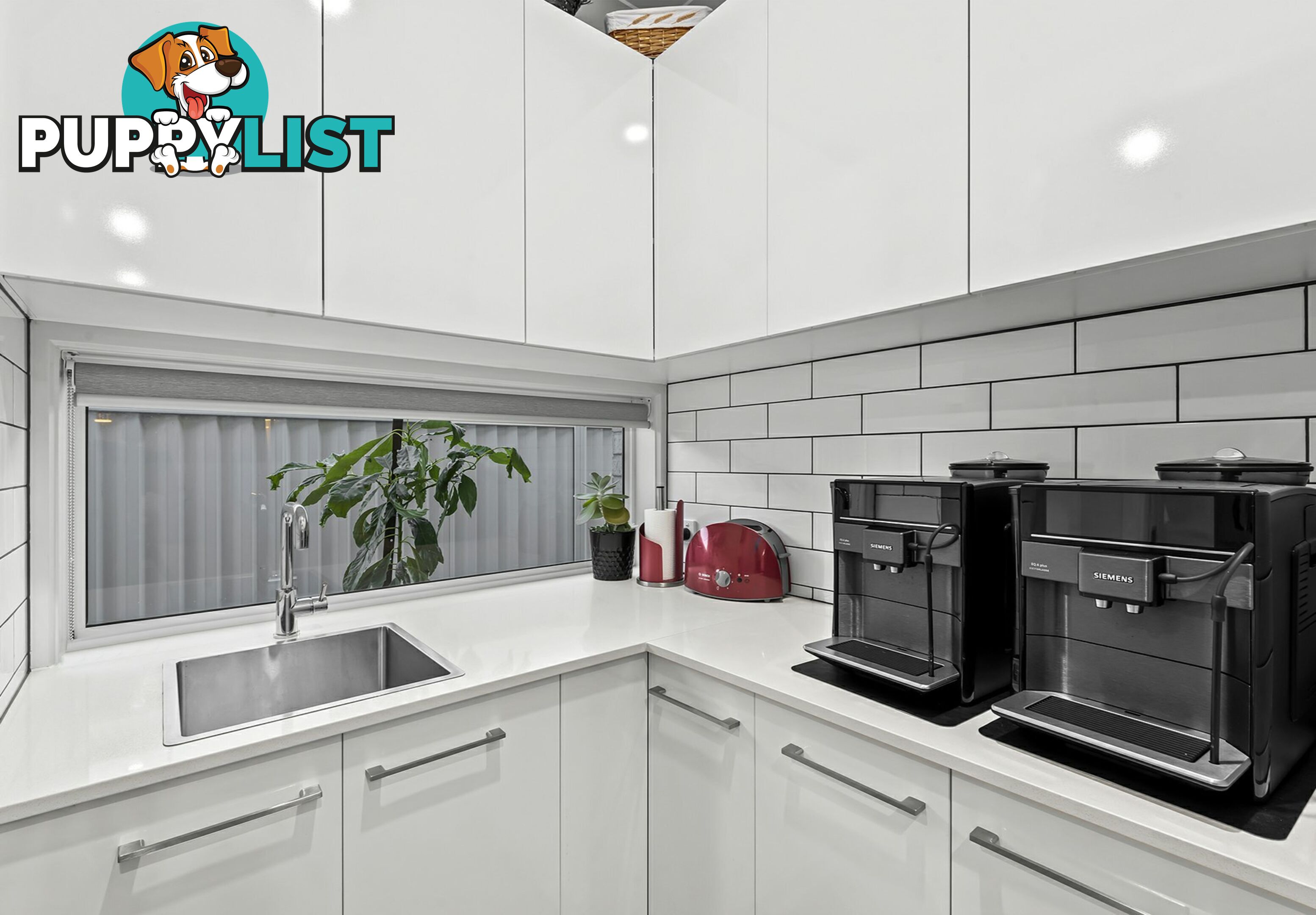 16 William Close PARK RIDGE QLD 4125