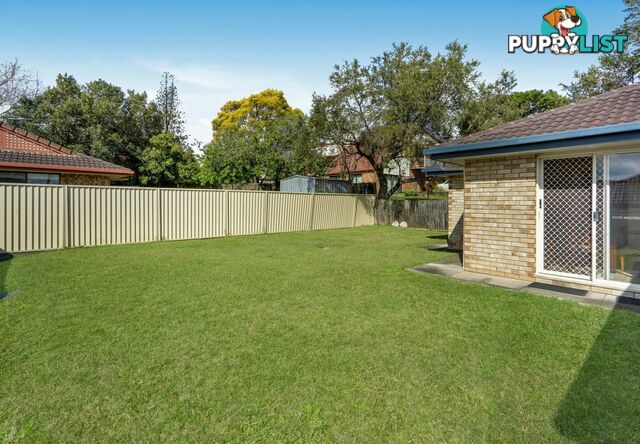 52 Jackson Road SUNNYBANK HILLS QLD 4109
