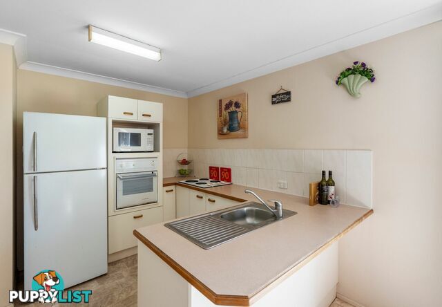 52 Jackson Road SUNNYBANK HILLS QLD 4109