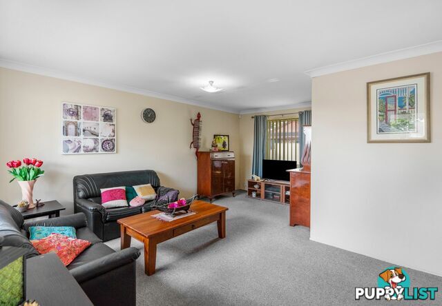 52 Jackson Road SUNNYBANK HILLS QLD 4109