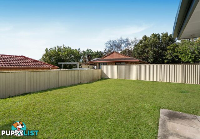 52 Jackson Road SUNNYBANK HILLS QLD 4109