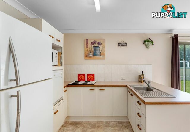 52 Jackson Road SUNNYBANK HILLS QLD 4109