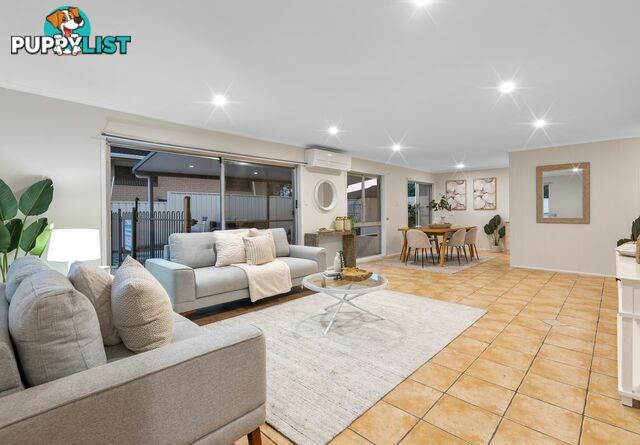 3 Dolphin Street MACGREGOR QLD 4109
