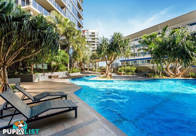12109/1 Cordelia Street SOUTH BRISBANE QLD 4101
