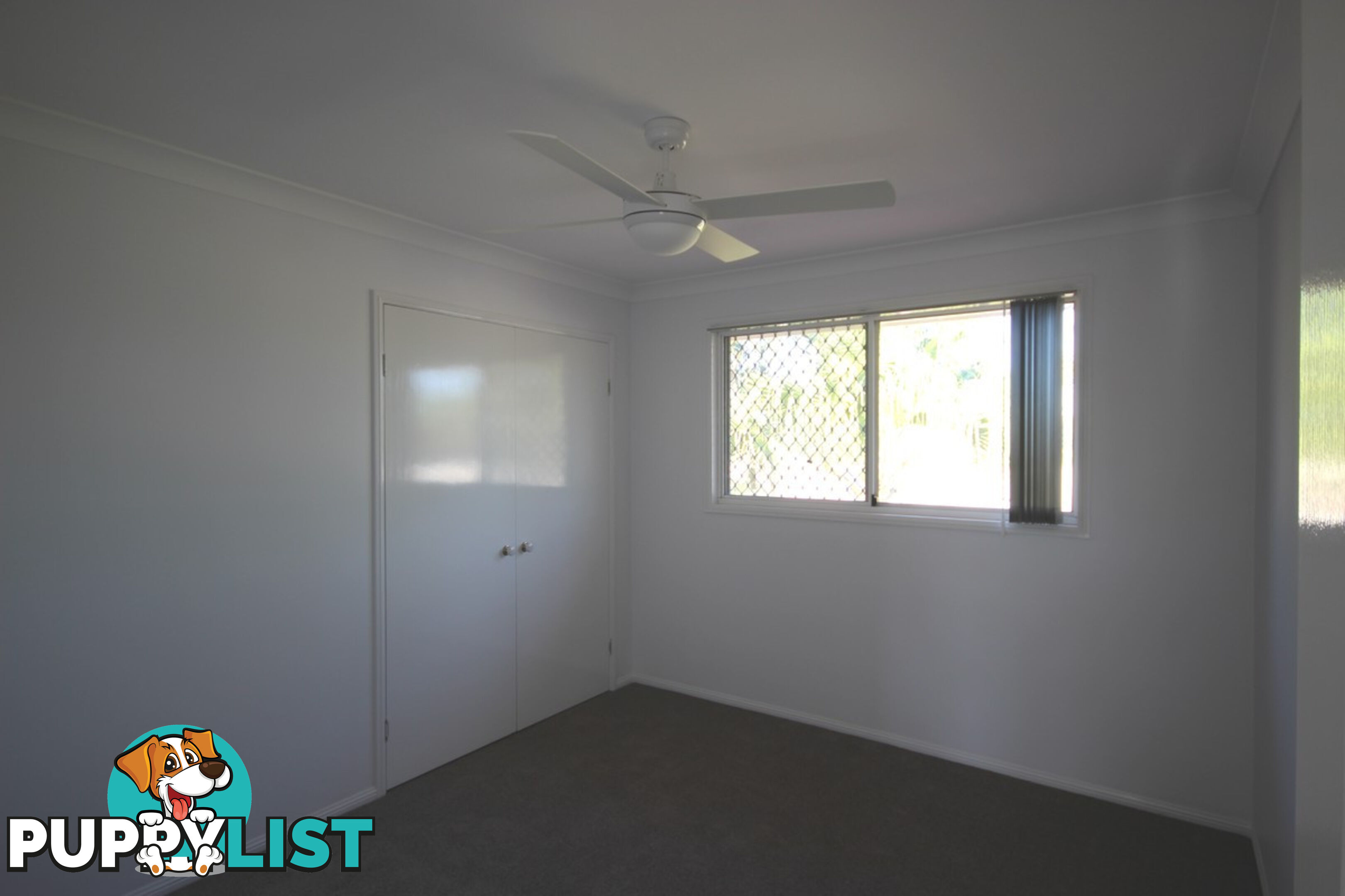 11 Gulubia Place CALAMVALE QLD 4116