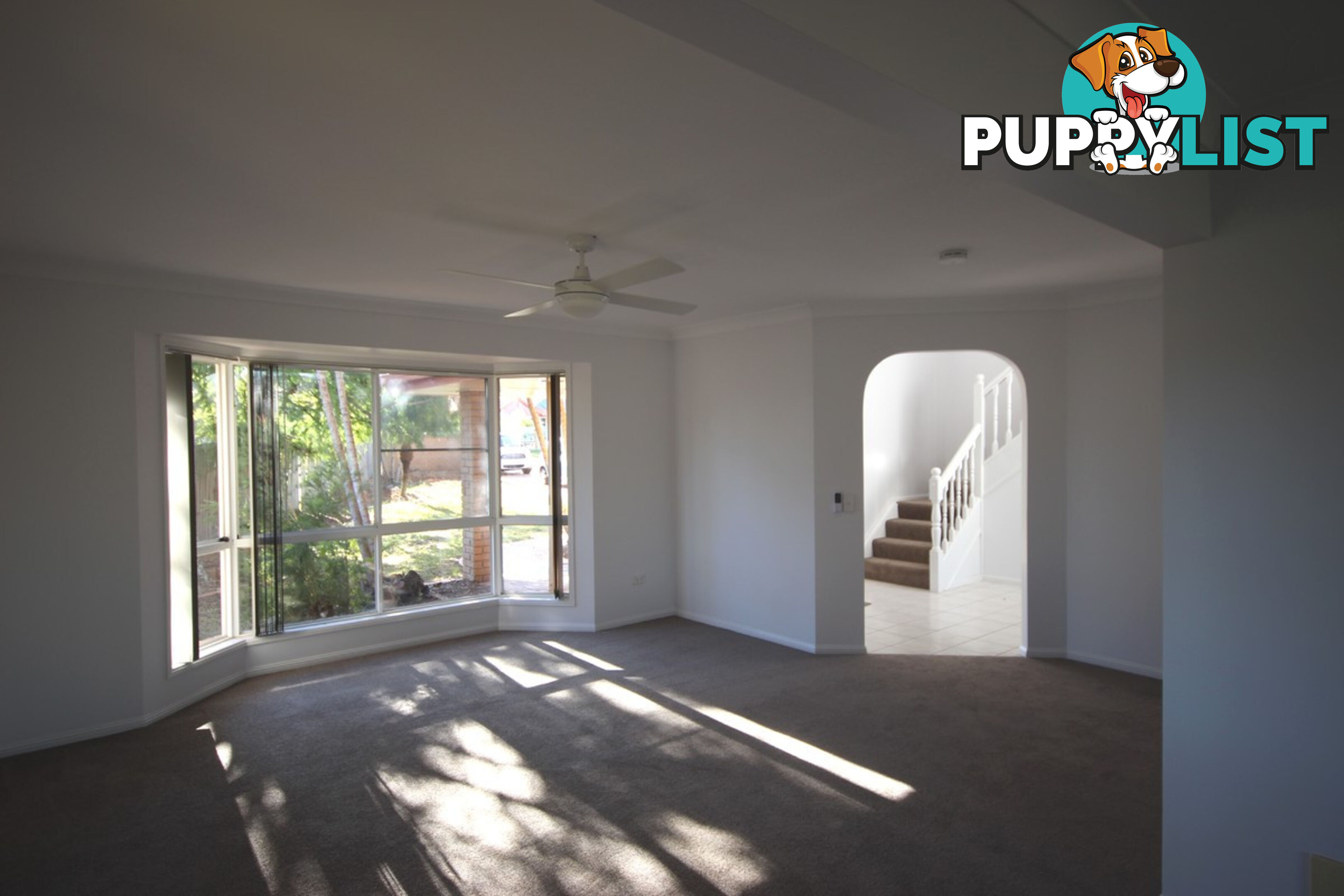 11 Gulubia Place CALAMVALE QLD 4116