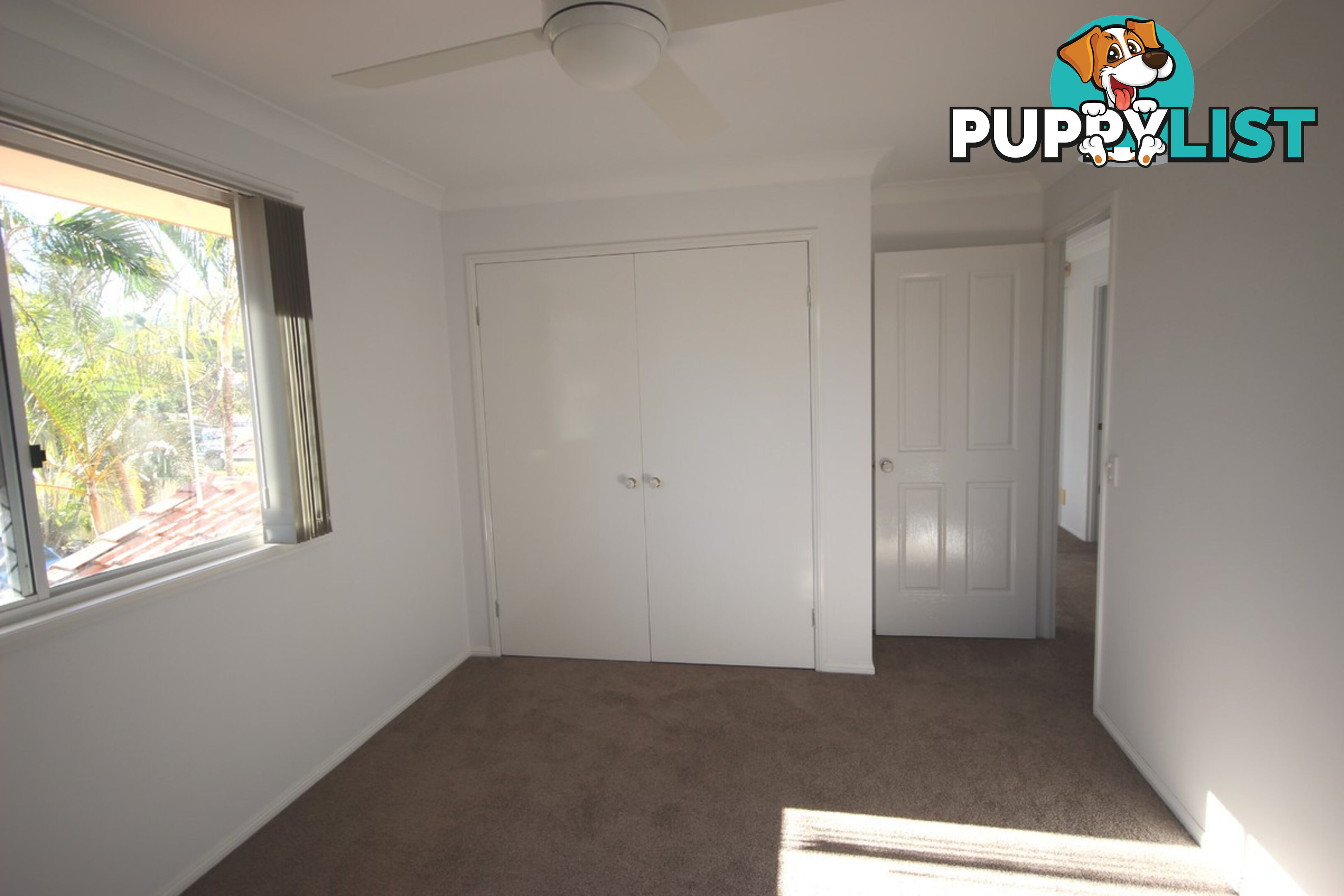 11 Gulubia Place CALAMVALE QLD 4116