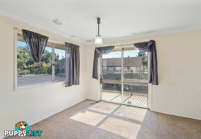 11 Booyong Street ALGESTER QLD 4115