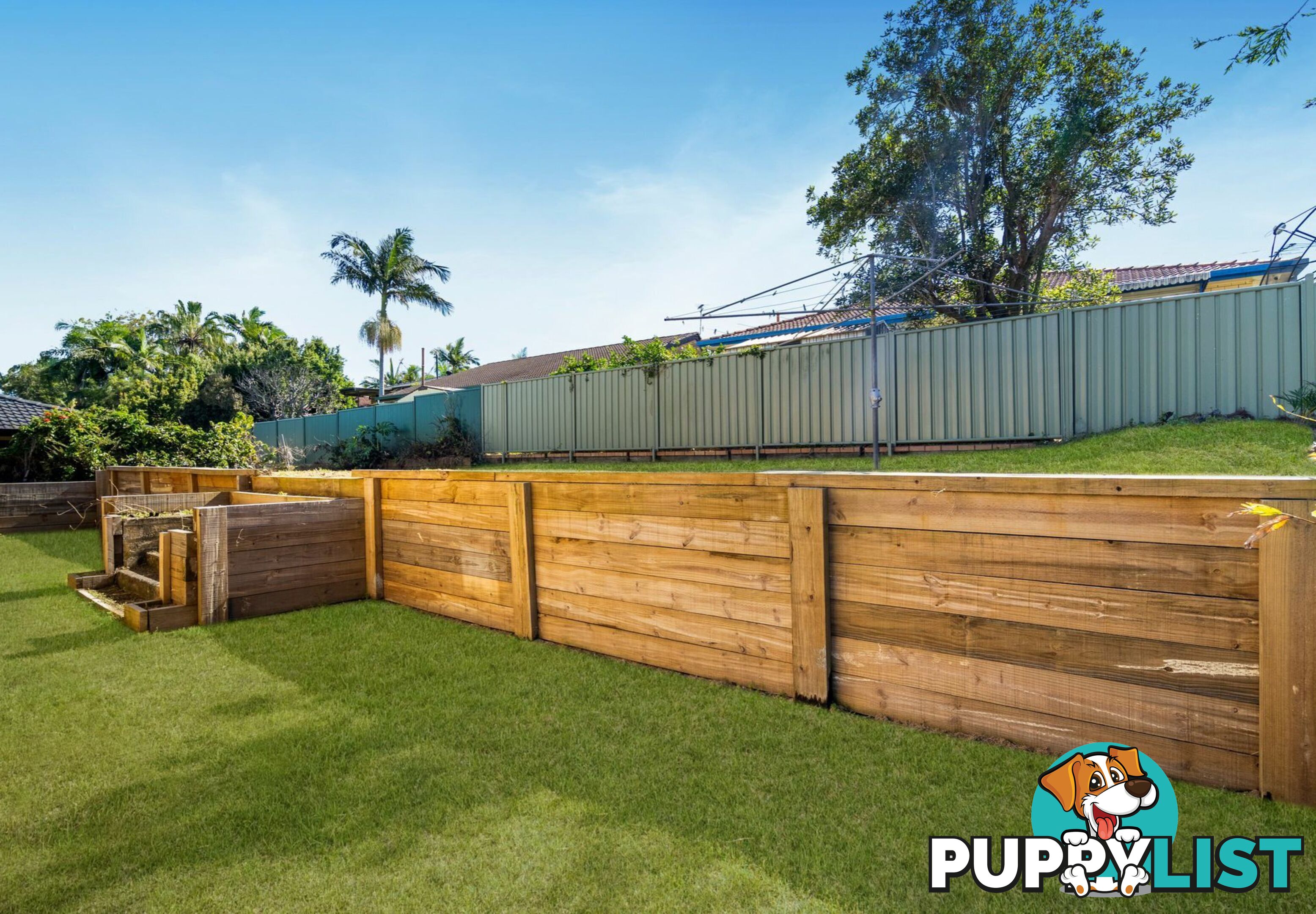 11 Booyong Street ALGESTER QLD 4115