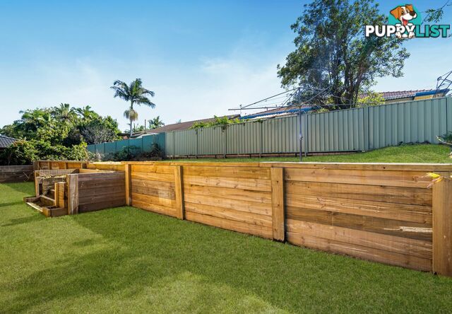 11 Booyong Street ALGESTER QLD 4115