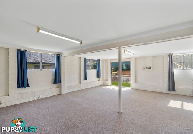 11 Booyong Street ALGESTER QLD 4115