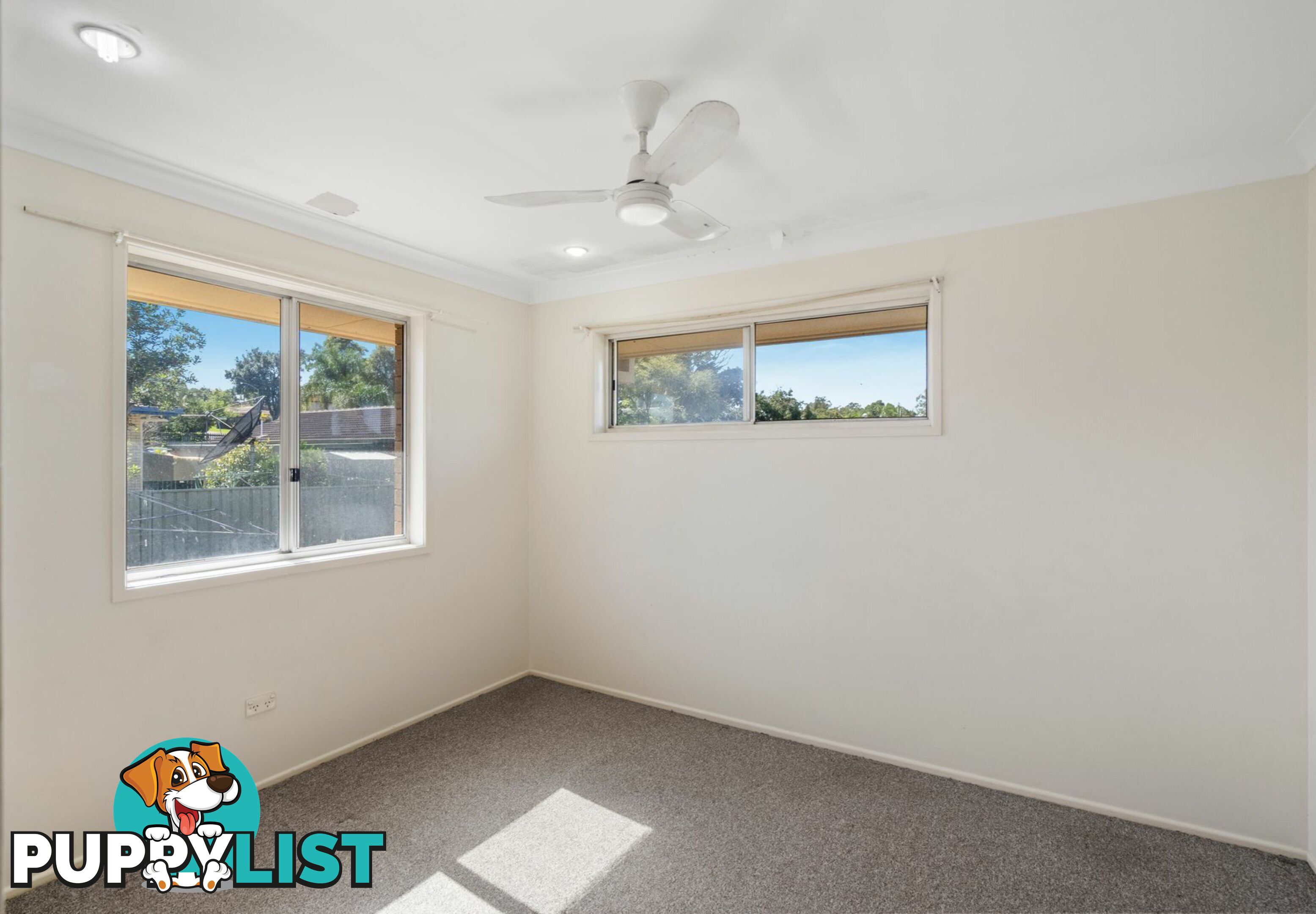 11 Booyong Street ALGESTER QLD 4115