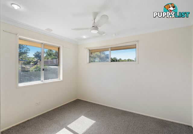 11 Booyong Street ALGESTER QLD 4115