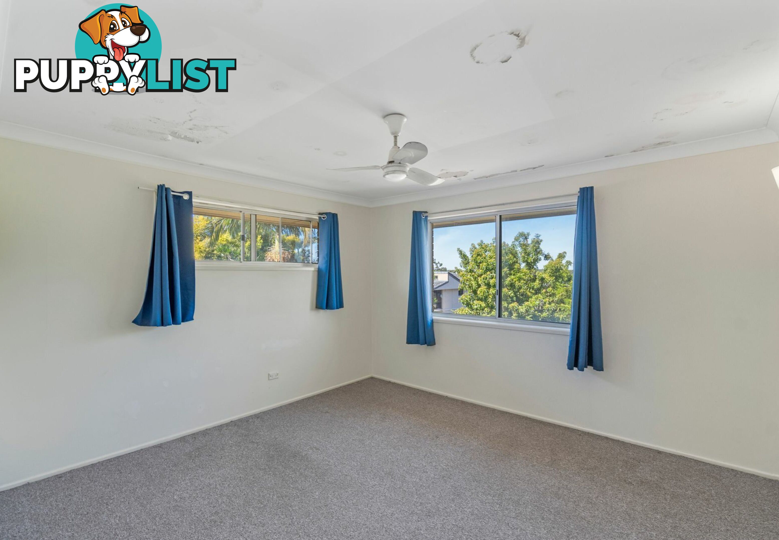 11 Booyong Street ALGESTER QLD 4115
