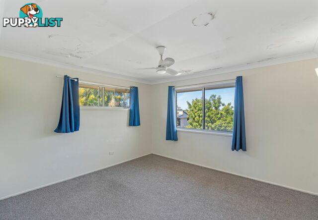 11 Booyong Street ALGESTER QLD 4115