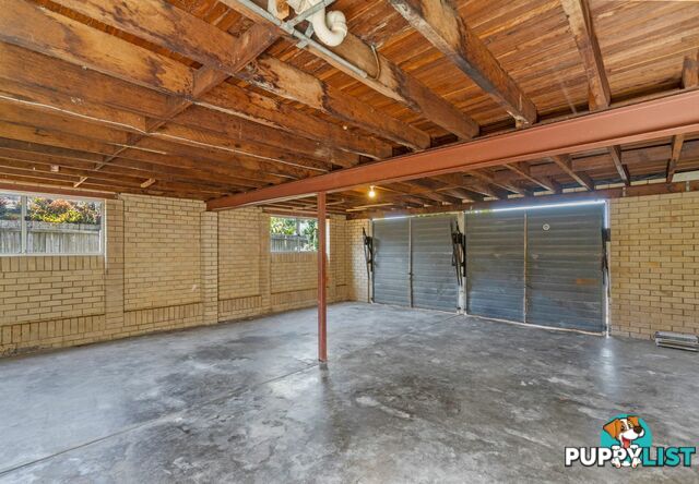 11 Booyong Street ALGESTER QLD 4115