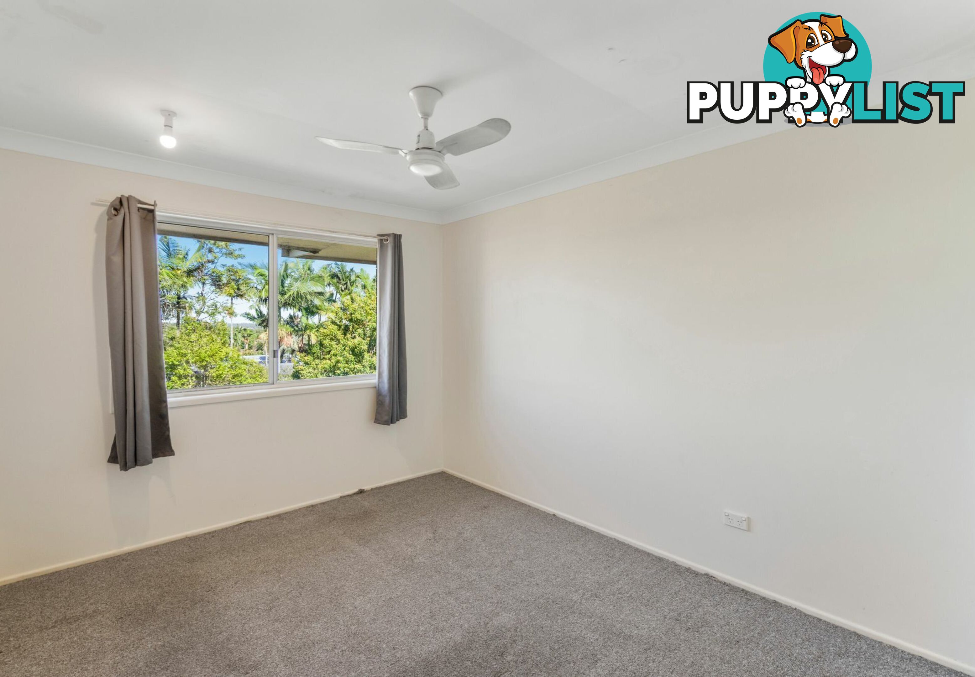 11 Booyong Street ALGESTER QLD 4115