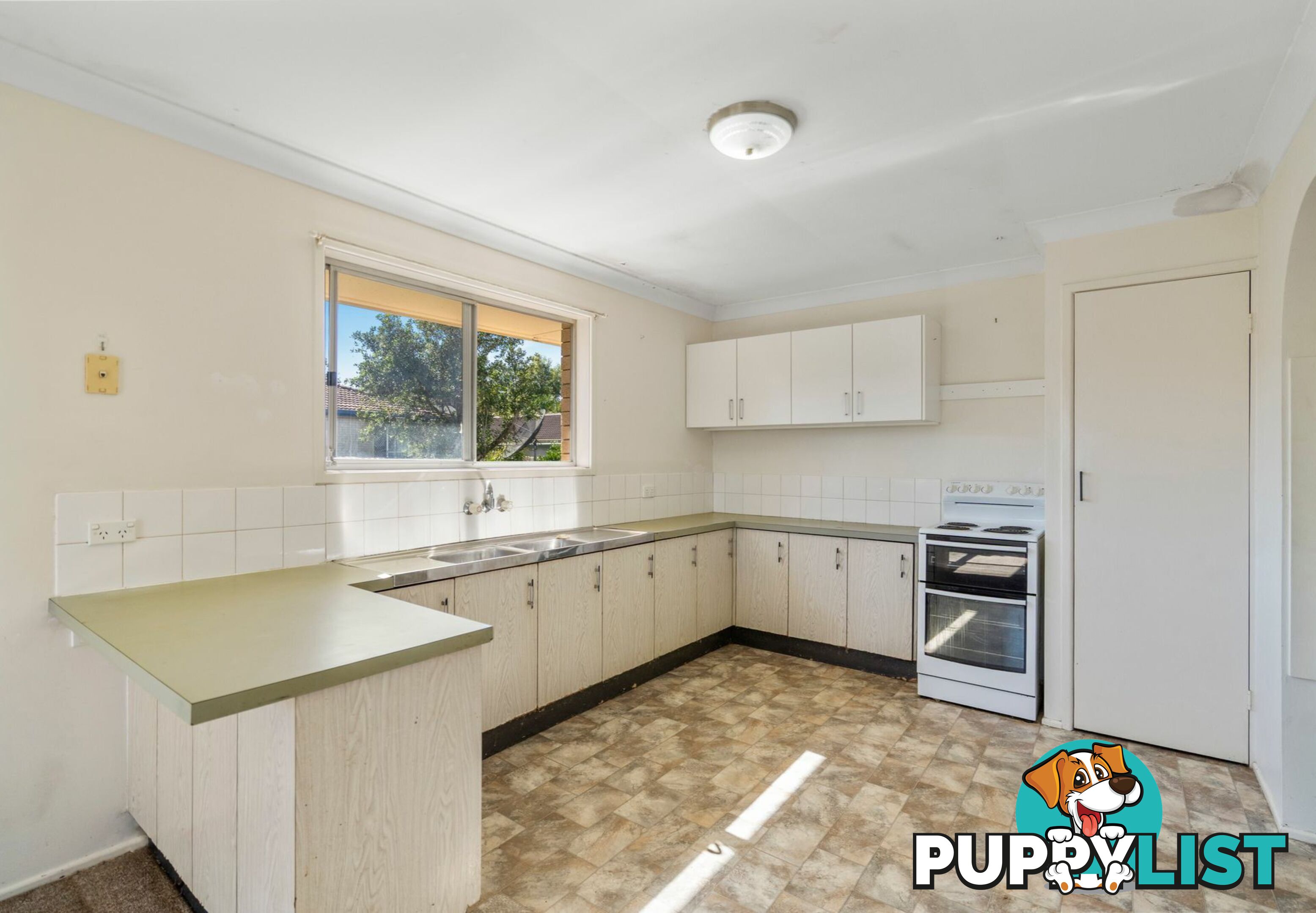 11 Booyong Street ALGESTER QLD 4115