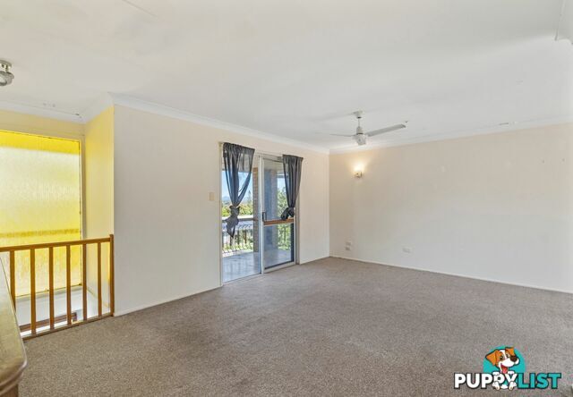 11 Booyong Street ALGESTER QLD 4115