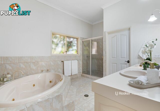 6 Ashwood Court SUNNYBANK HILLS QLD 4109