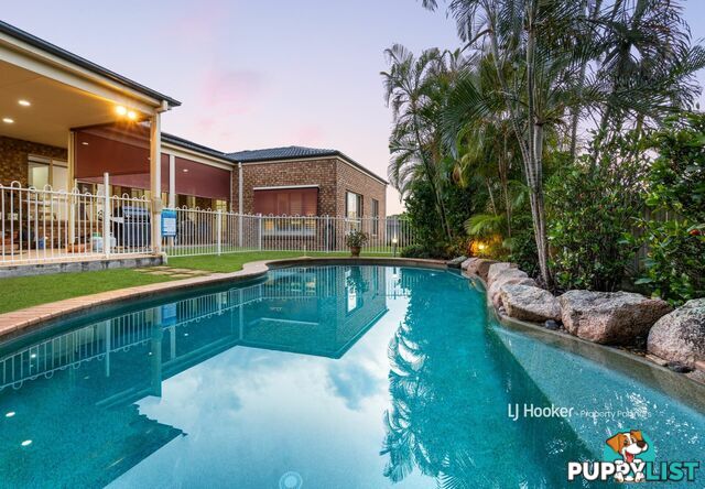 6 Ashwood Court SUNNYBANK HILLS QLD 4109