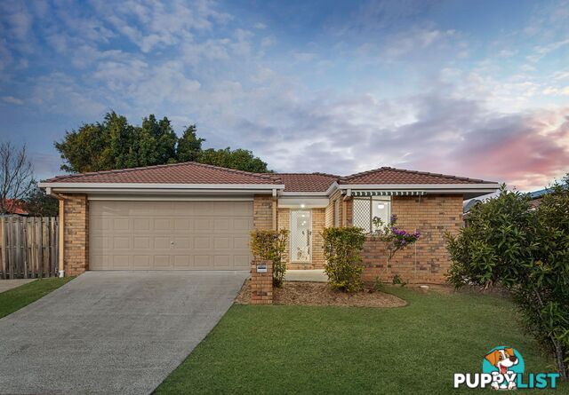3 Dewick Court CALAMVALE QLD 4116