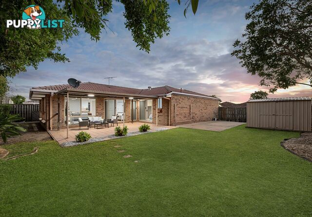 3 Dewick Court CALAMVALE QLD 4116